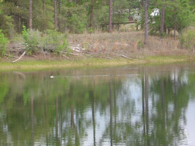 1191 Bream Road Southport, NC 28461 - Photo 10 of 25 Additional Photo