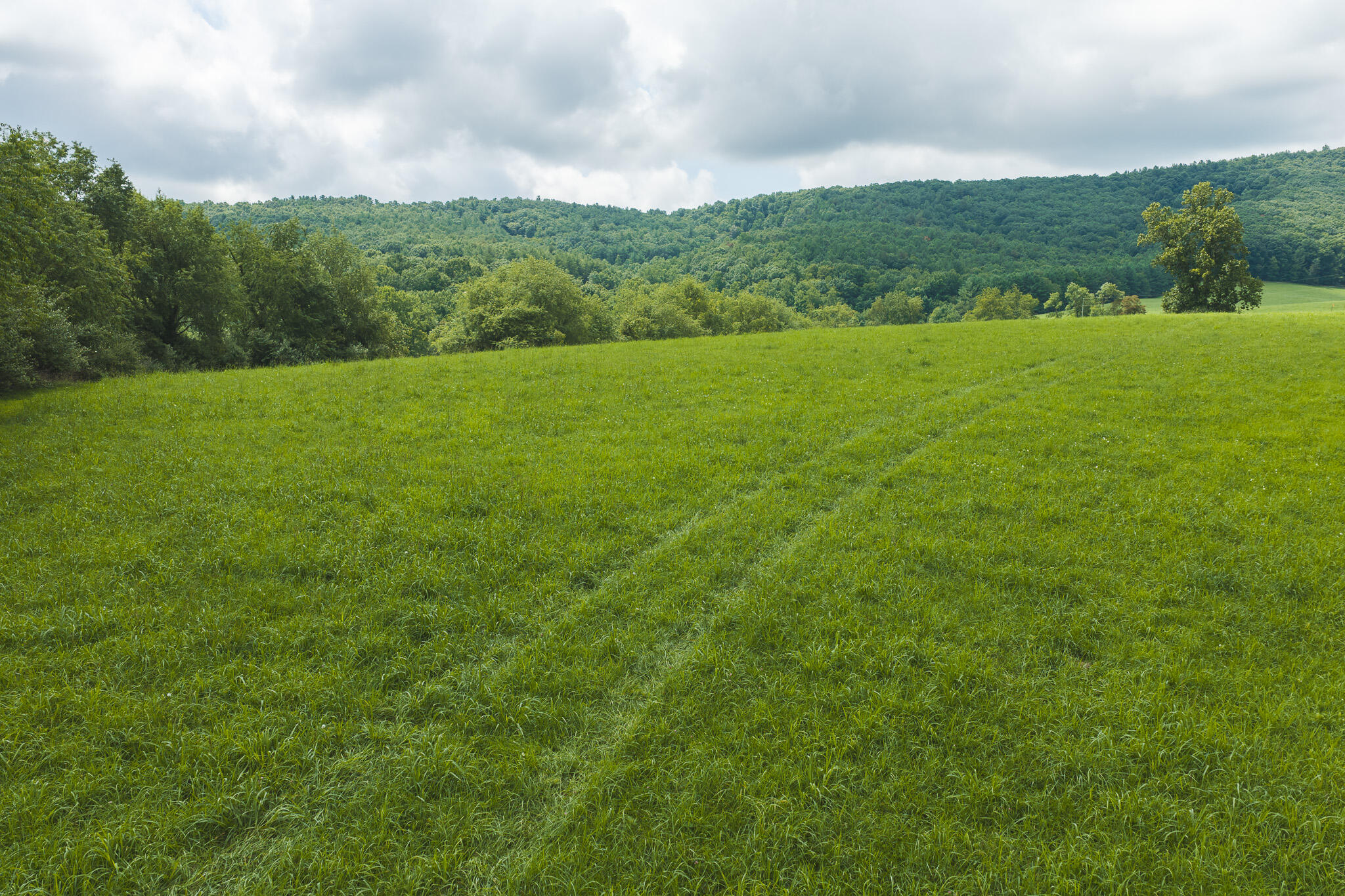 Lot 2 Ridgeview Road Northwest Floyd, VA 24091 - Photo 8 of 32 DJI_20260804121239_0274_D