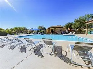 a view of backyard with tree