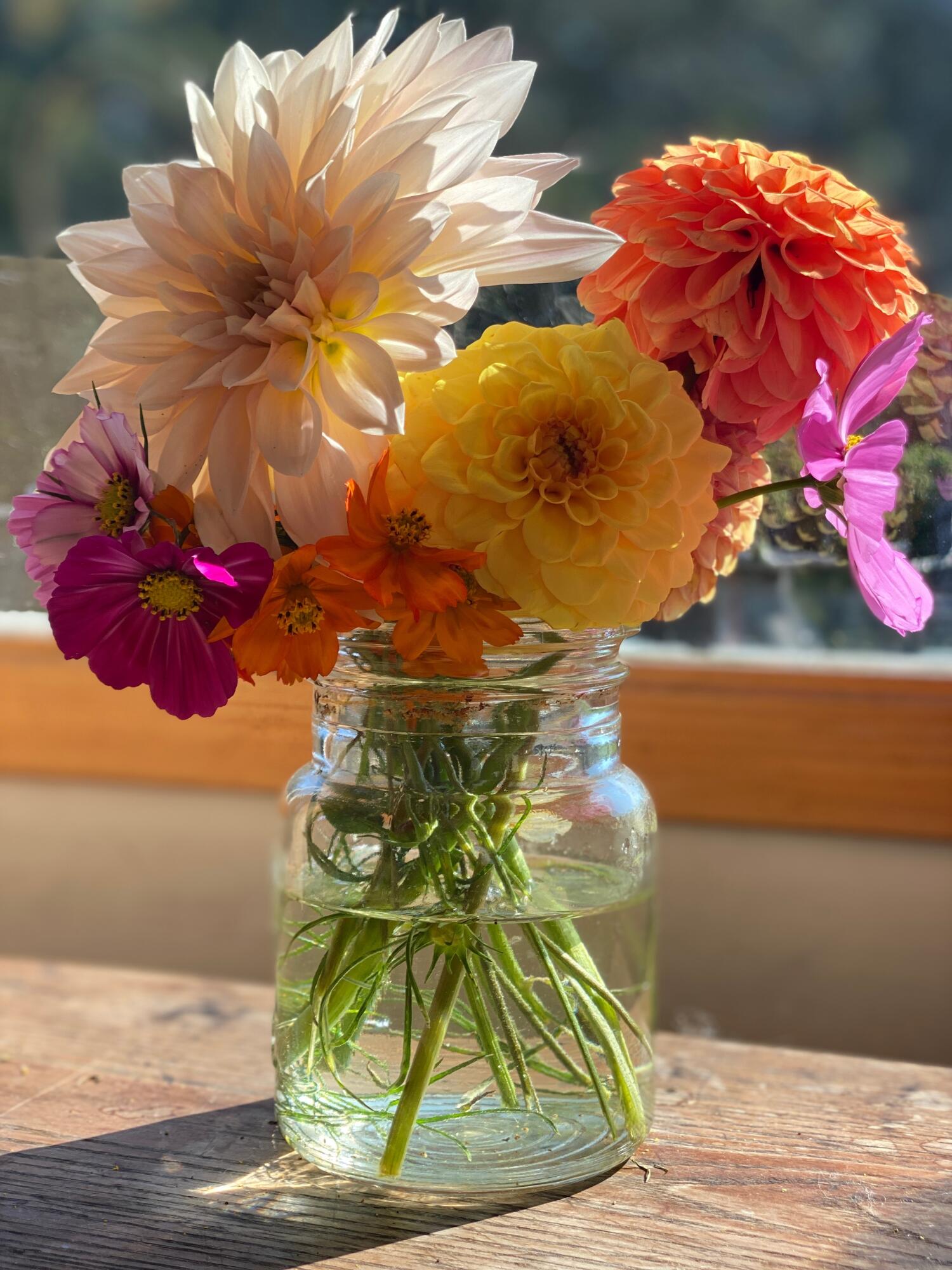 1020 Hendricks Hill Road Southport, ME 04576 - Photo 5 of 104 Dalia on table