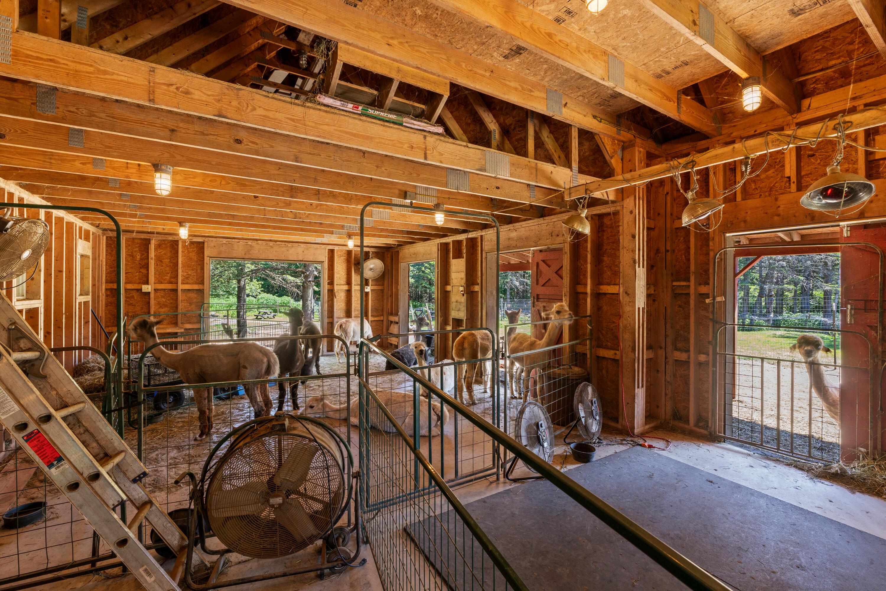 1020 Hendricks Hill Road Southport, ME 04576 - Photo 83 of 104 1020 Hendricks Hill Rd_184