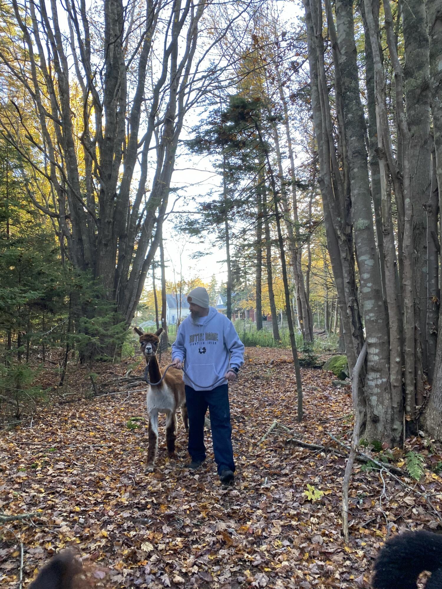 1020 Hendricks Hill Road Southport, ME 04576 - Photo 93 of 104 New trail picture