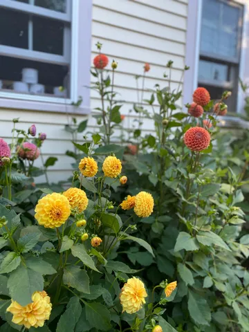 $775,000 | 1020 Hendricks Hill Road, Southport, ME 04576