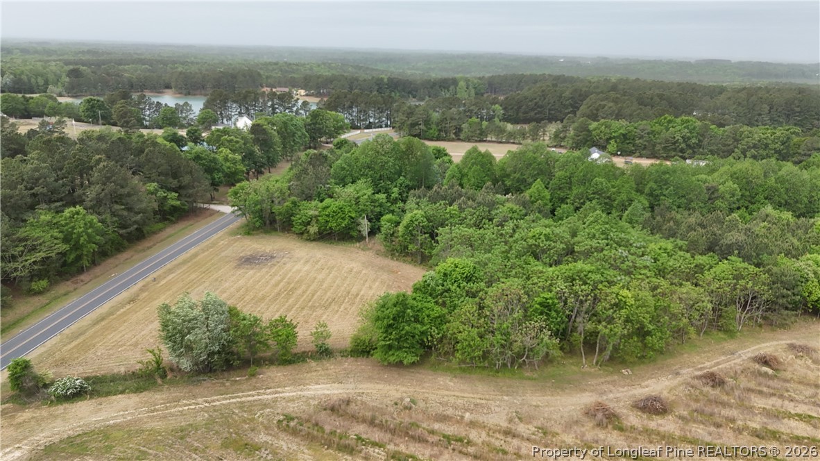 Lot 2 Joe Collins Road Lillington, NC 27546 - Photo 1 of 3