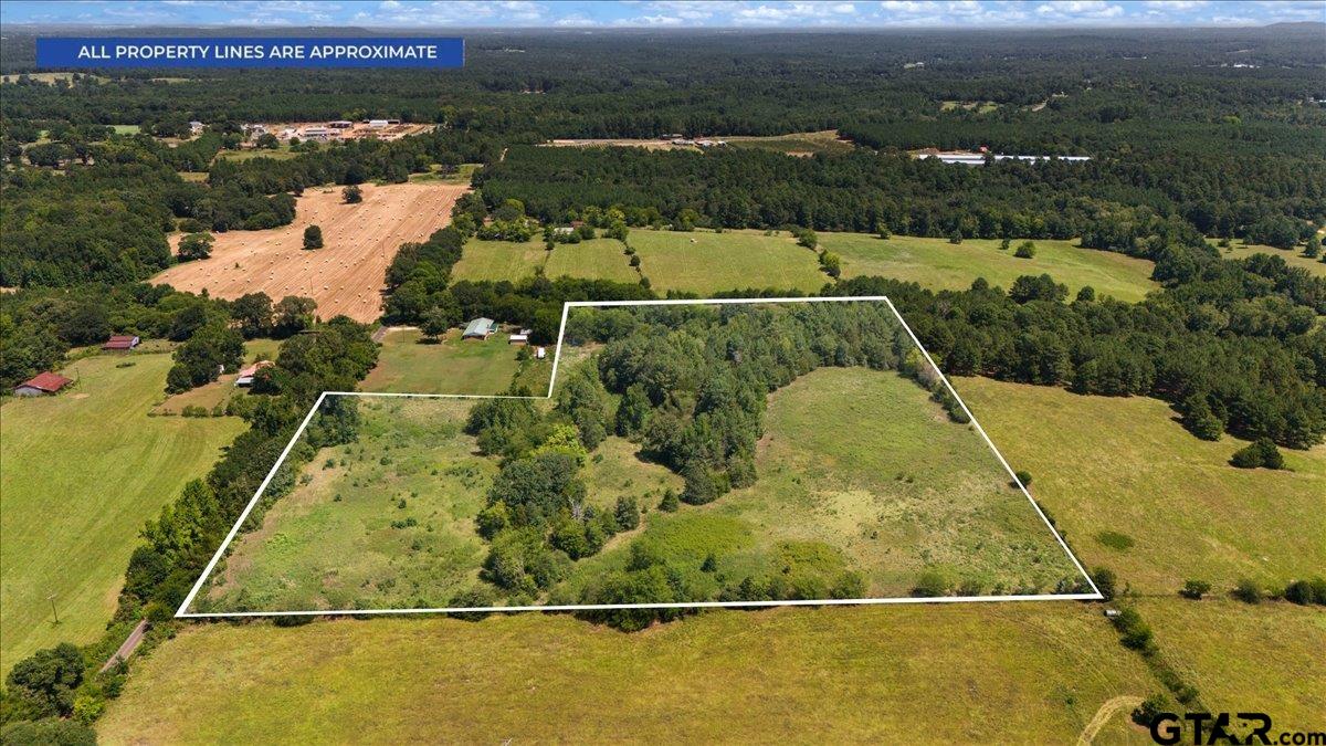 8017 Persimmon Road Big Sandy, TX 75755 - Photo 3 of 14 Gallery Image 3