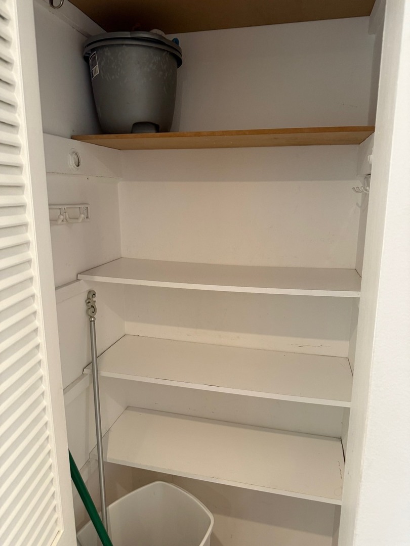 910 Beau Drive, Unit 211 Des Plaines, IL 60016 - Photo 9 of 11 a close view of closet