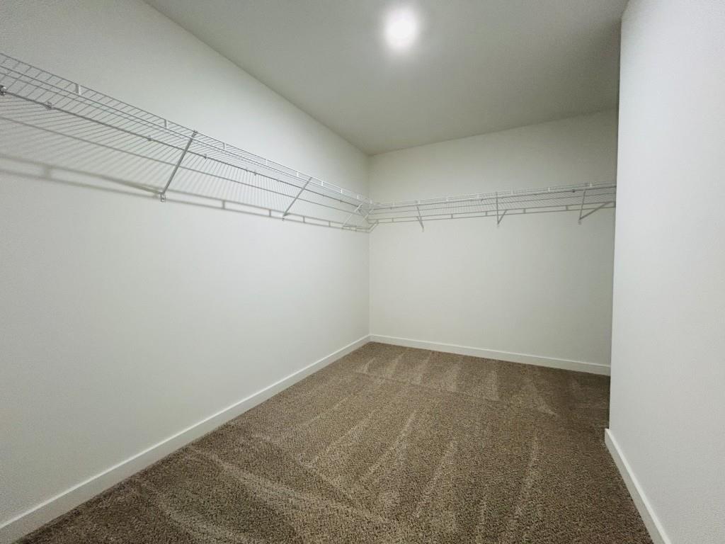 173 Annie Lane Statham, GA 30666 - Photo 11 of 41