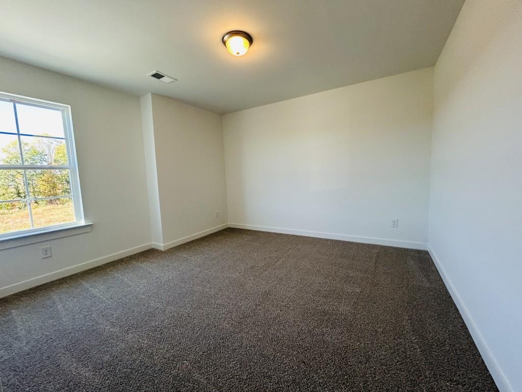 173 Annie Lane Statham, GA 30666 - Photo 17 of 41