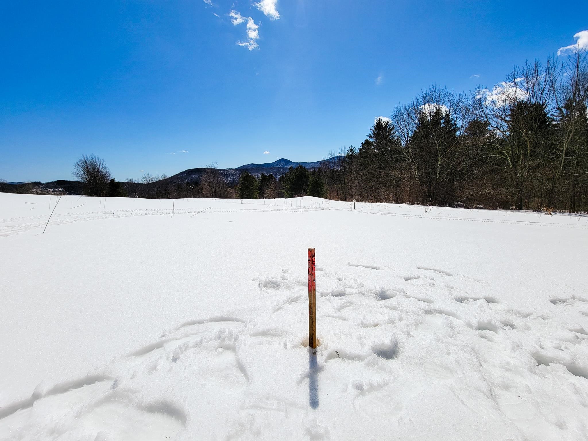 366 Access Road, Unit 1 Rochester, VT 05767 - Photo 14 of 40