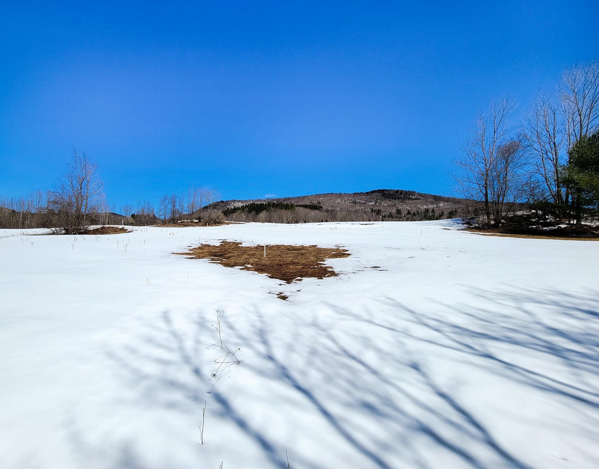 366 Access Road, Unit 1 Rochester, VT 05767 - Photo 23 of 40