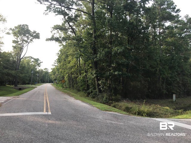 Lot E Beach Road Foley, AL 36535 - Photo 4 of 13 Bay Road S/Beach Road