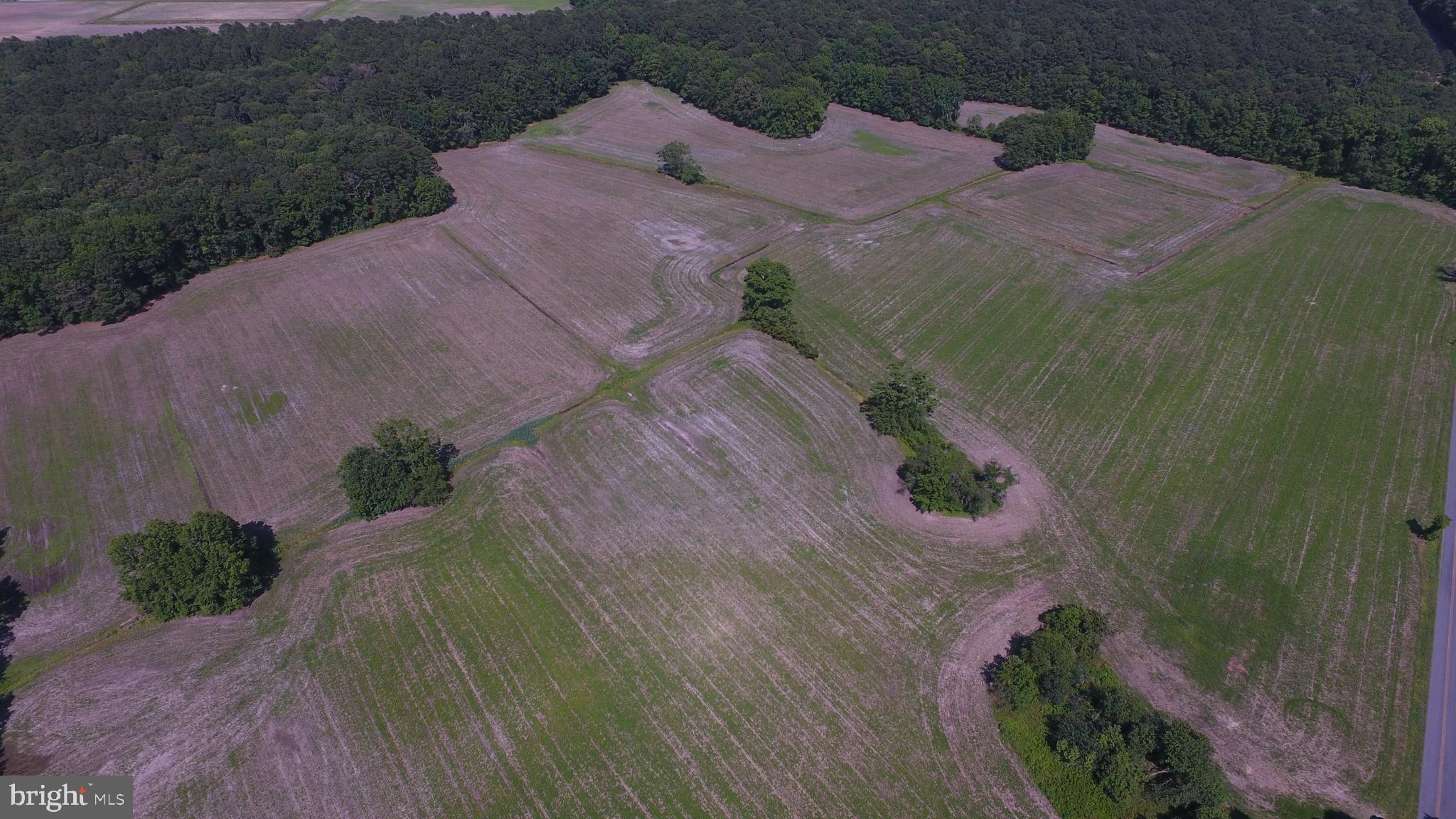 Lot#3 Dinges Road Berlin, MD 21811 - Photo 14 of 27 Gallery Image 14