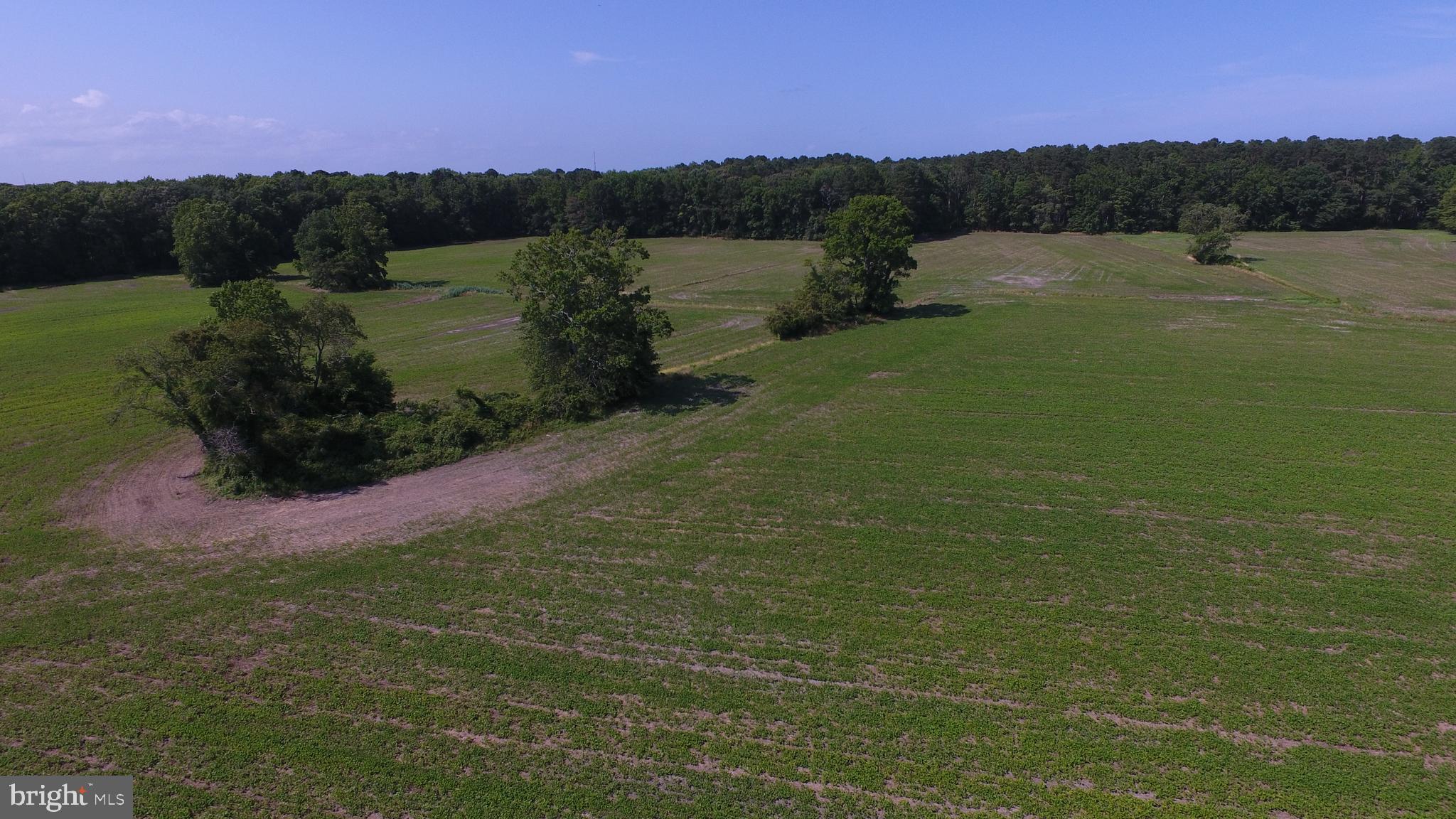 Lot#3 Dinges Road Berlin, MD 21811 - Photo 22 of 27 Gallery Image 22