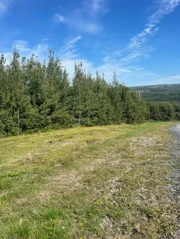 $100,000 | Lot 18 Cross Road, Madawaska, ME 04756