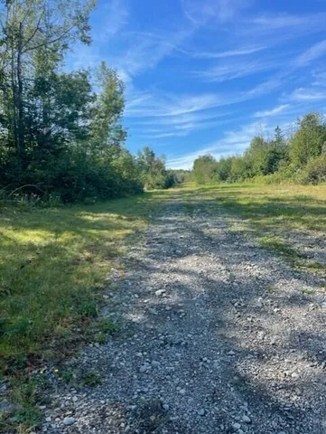 $100,000 | Lot 18 Cross Road, Madawaska, ME 04756