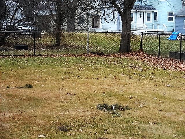 422 West 6th Street Rochester, IN 46975 - Photo 5 of 23