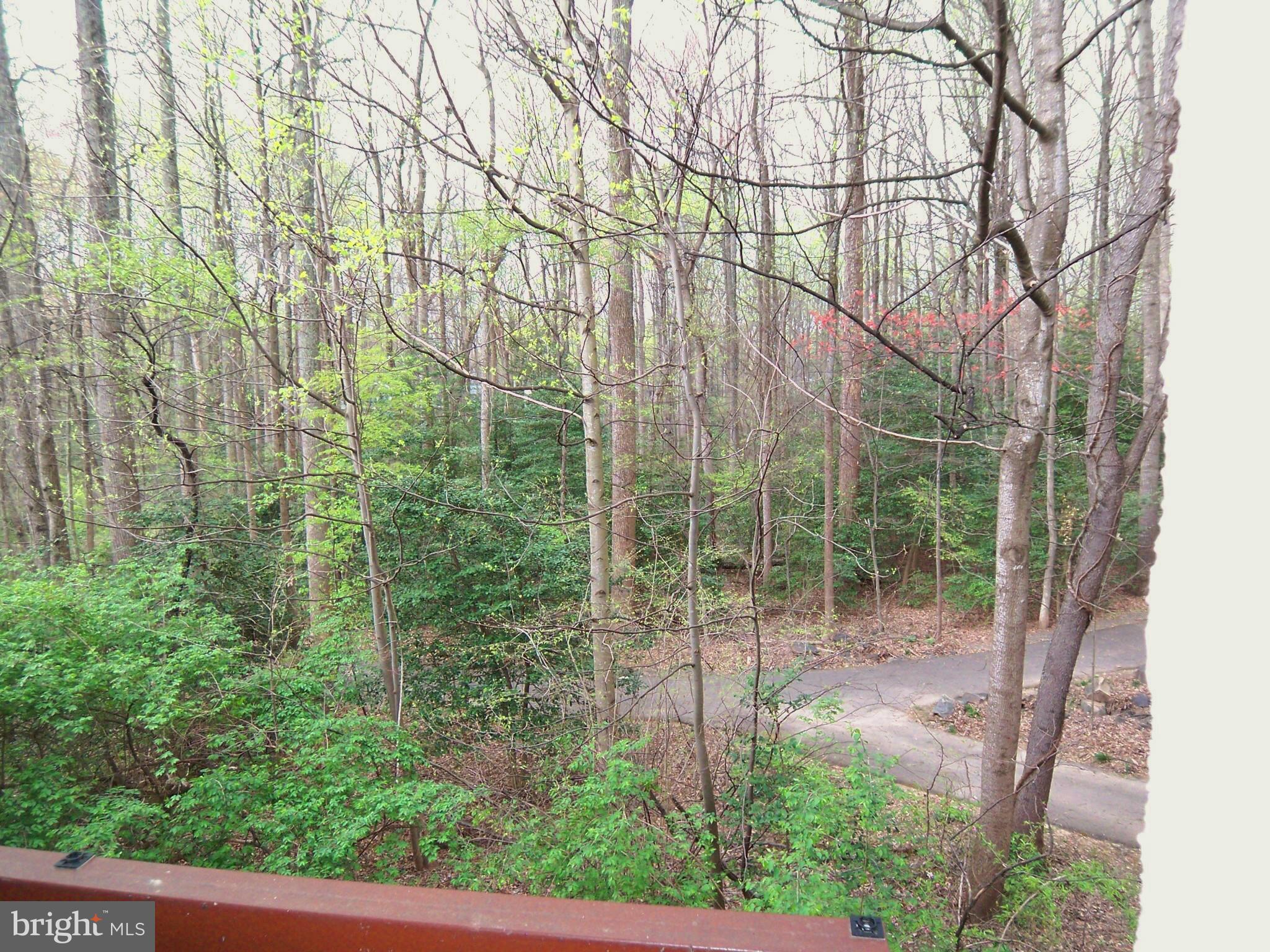 11658 Stoneview Square, Unit 11C Reston, VA 20191 - Photo 14 of 15 View from Deck