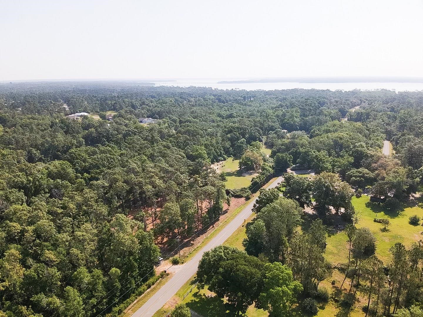0 Antietam Road Lillian, AL 36549 - Photo 17 of 32