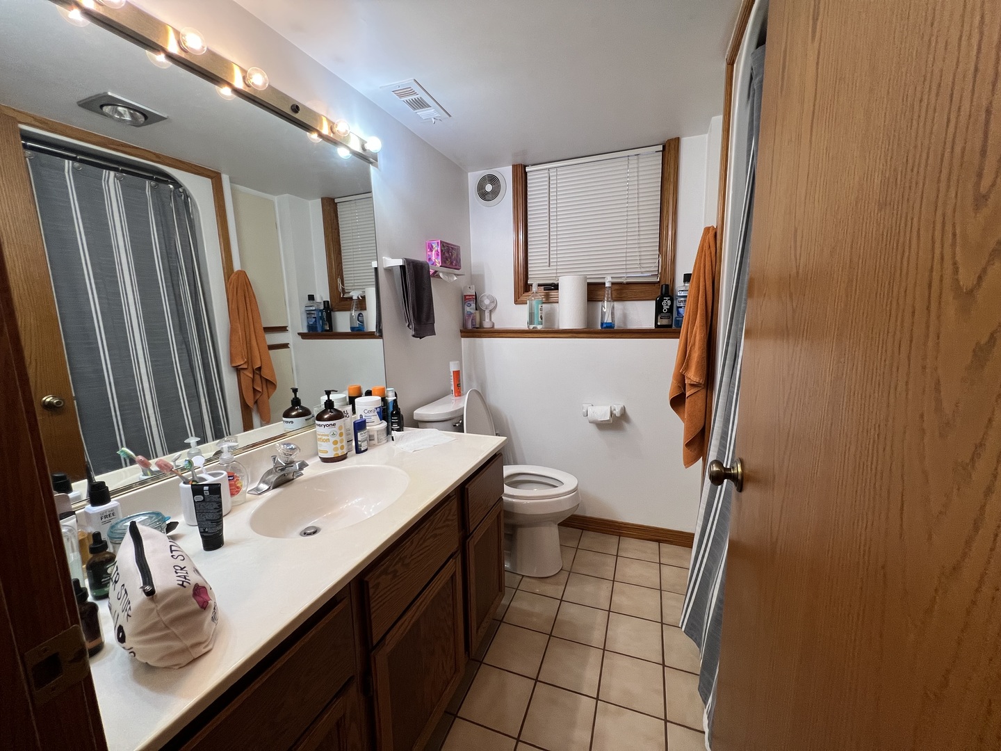 509 East Lake Avenue, Unit B Round Lake Beach, IL 60073 - Photo 14 of 18 a bathroom with a sink mirror and toilet