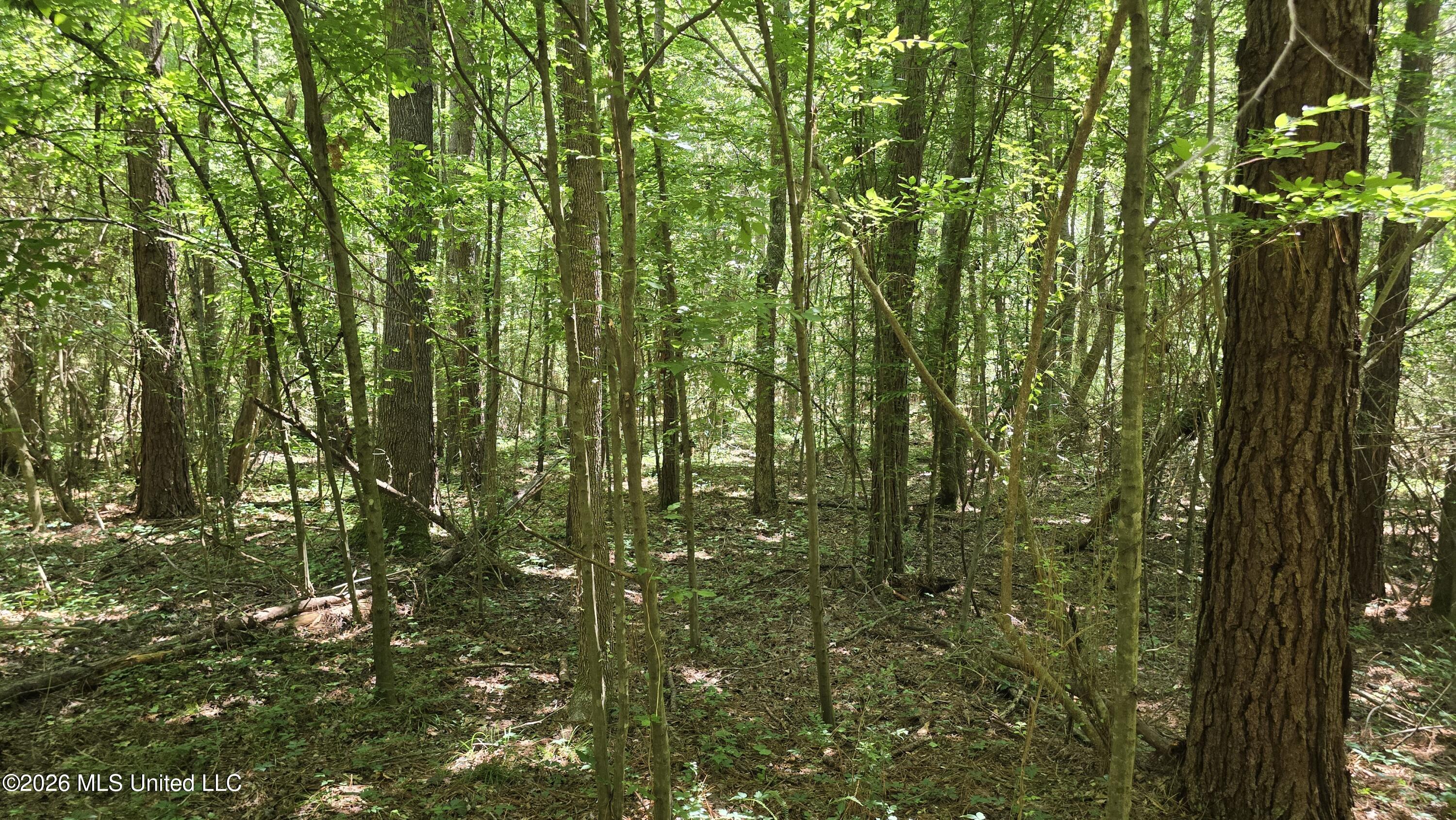 189 Co Road Bay Springs, MS 39422 - Photo 36 of 61 20260513_120511