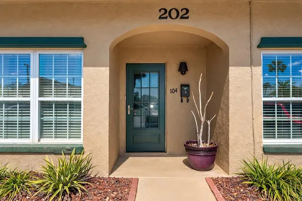 a potted plant sitting in front of a house