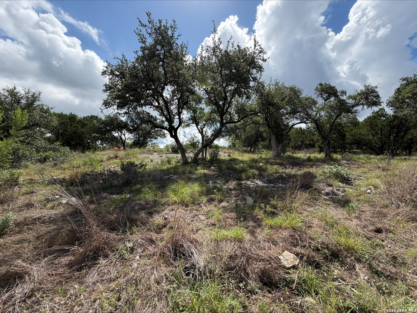 1417 Powder Ridge New Braunfels, TX 78132 - Photo 10 of 17