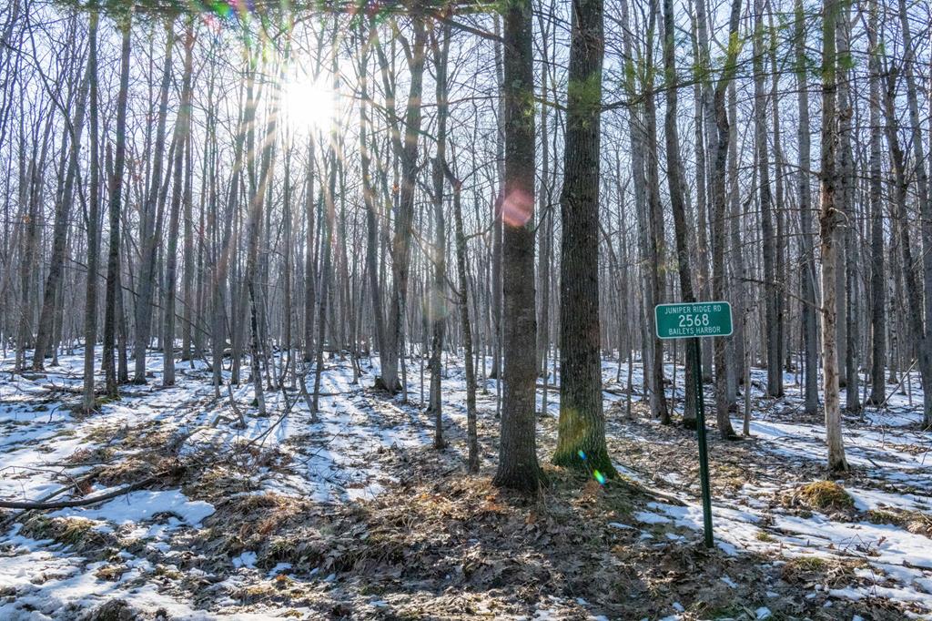2568 Juniper Ridge Road Baileys Harbor, WI 54202 - Photo 1 of 4
