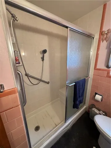 a bathroom with a shower and a toilet