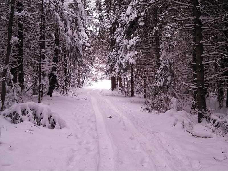 0 Club House Road Levant, ME 04456 - Photo 1 of 9 Land/Lot.