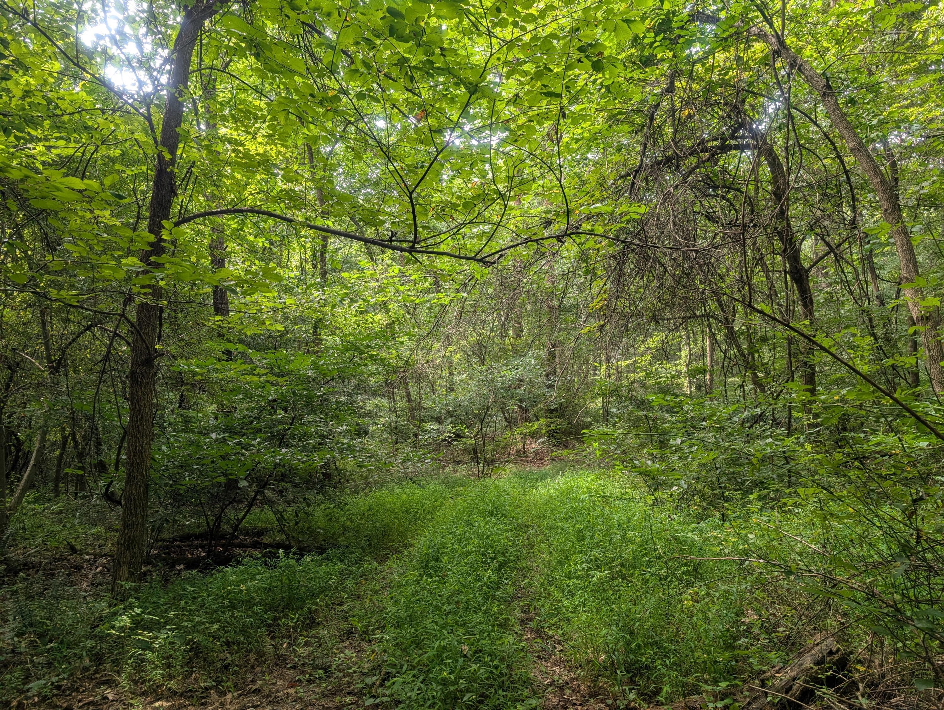 0 Toll Gate Road Somerset, OH 43783 - Photo 9 of 40 9