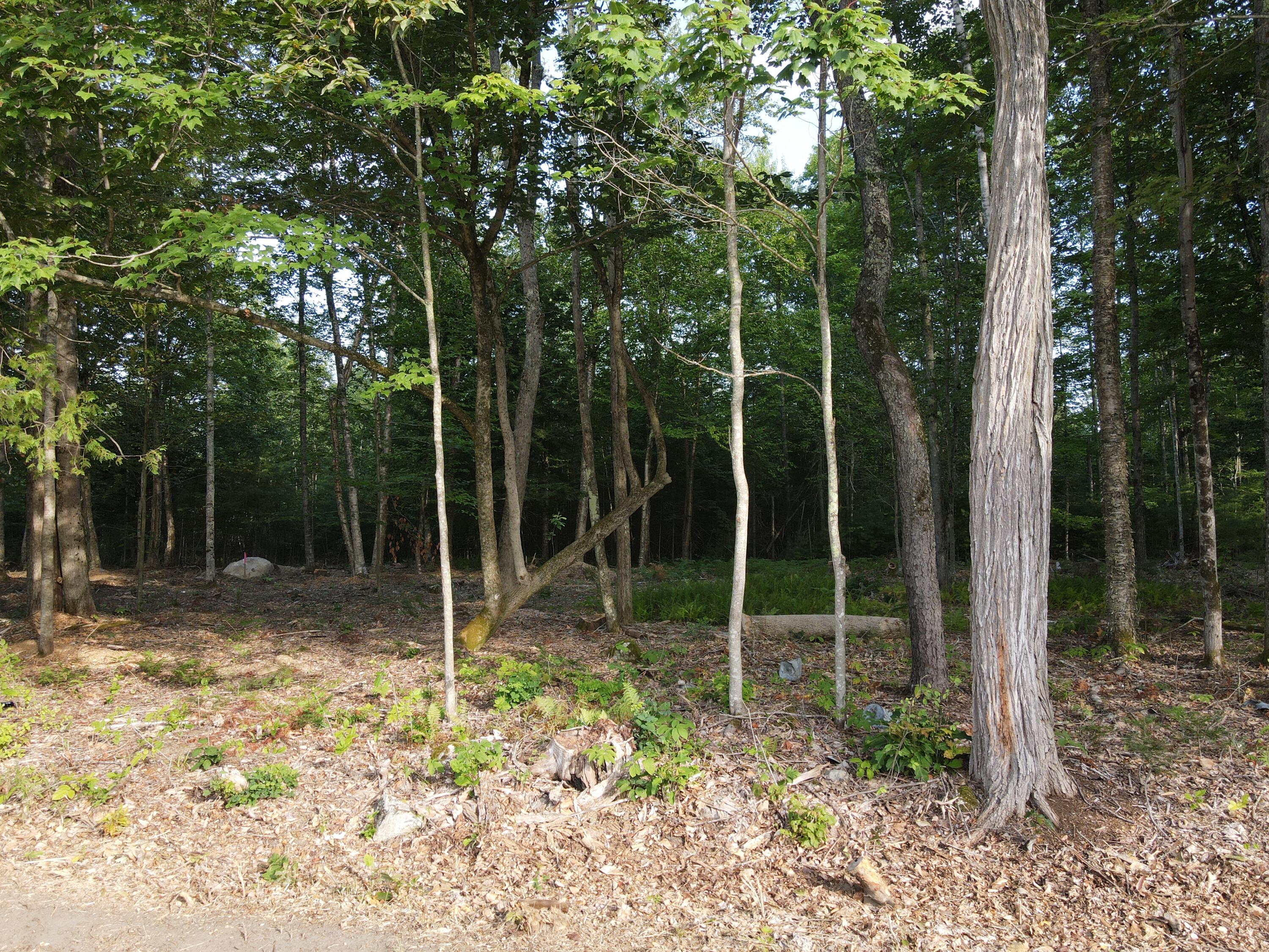 Lot 3 Oak Pond Road Canaan, ME 04924 - Photo 2 of 7 dji_fly_20250807_075704_589_175457139923