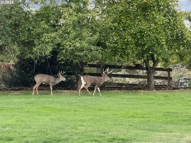 $1,499,000 | 14700 Southeast Clatsop Street, Happy Valley, OR 97086