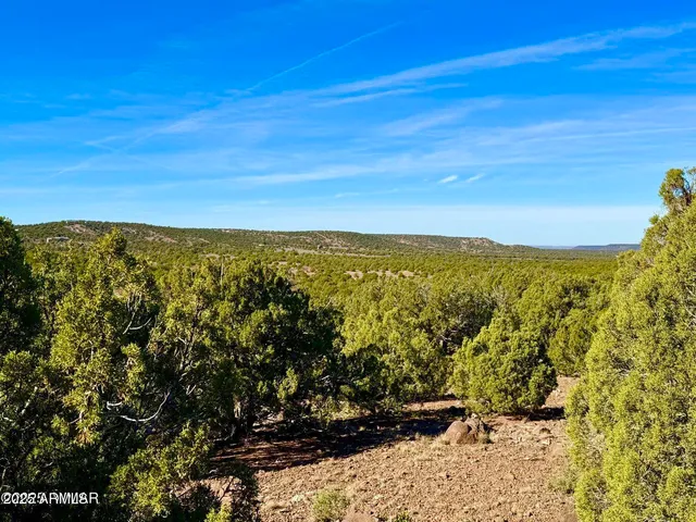 a view of a city with lush green forest