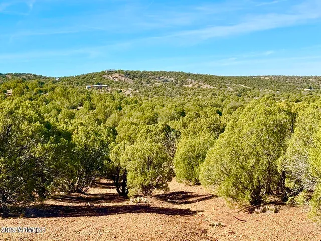 $29,000 | 20 Acres Concho Az 85924, Show Low, AZ 85901