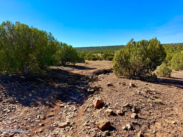 a view of a city with an ocean