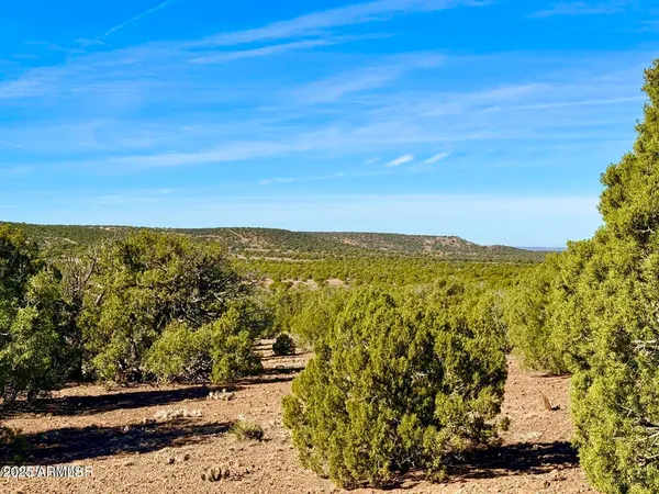a view of mountain view with an ocean view