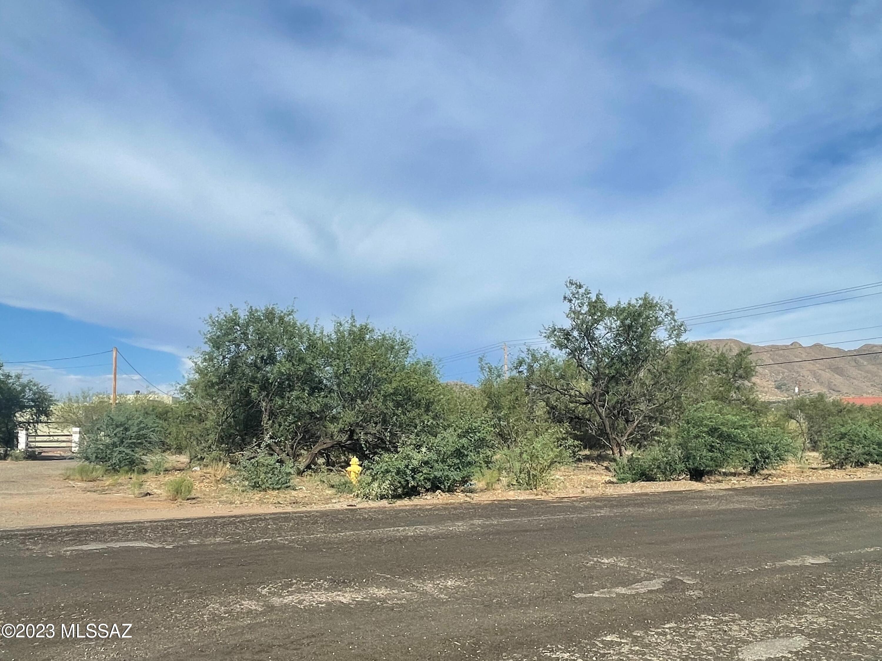 161 Loa Court, Unit 36 Rio Rico, AZ 85648 - Photo 6 of 9