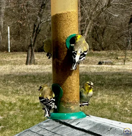 $309,900 | 14296 123rd Lane, Hoyt, KS 66440