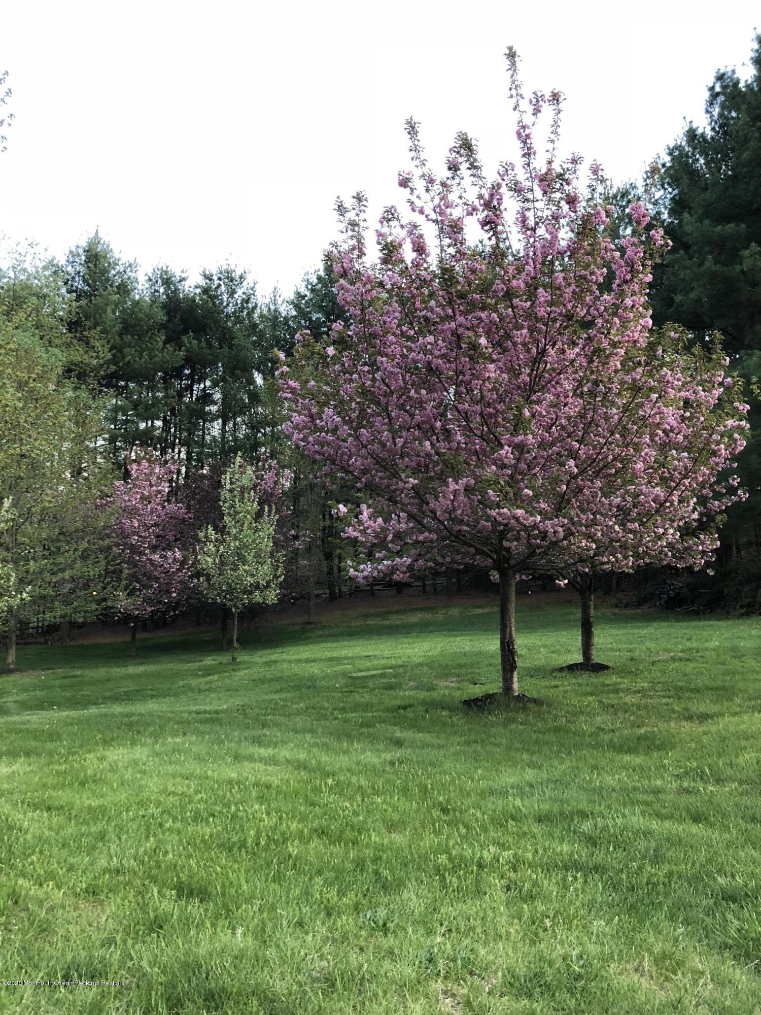 88 Millstone Road Millstone Township, NJ 08535 - Photo 29 of 41 Gourgeous flowering trees