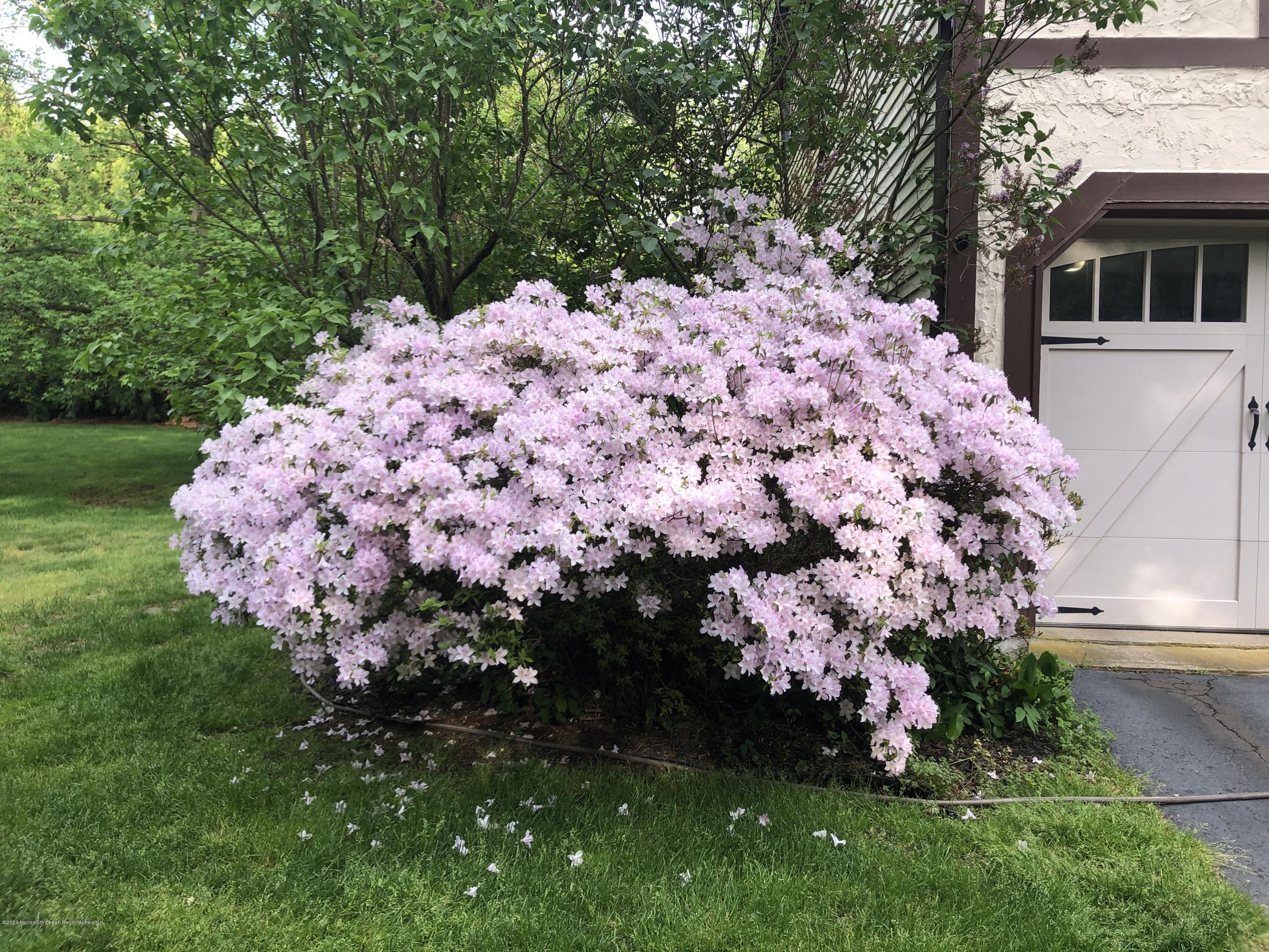 88 Millstone Road Millstone Township, NJ 08535 - Photo 34 of 41 More blooms in front