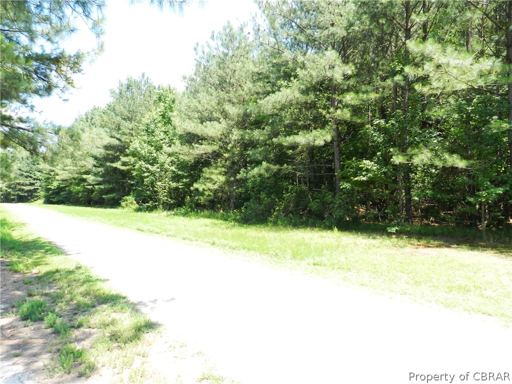 0 Westmill Road Gloucester, VA 23061 - Photo 1 of 2 View of street upon entry, front of lot on Right side of road.