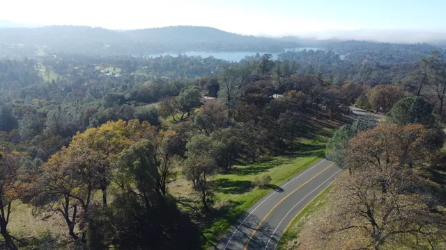 a view of a city with lush green forest
