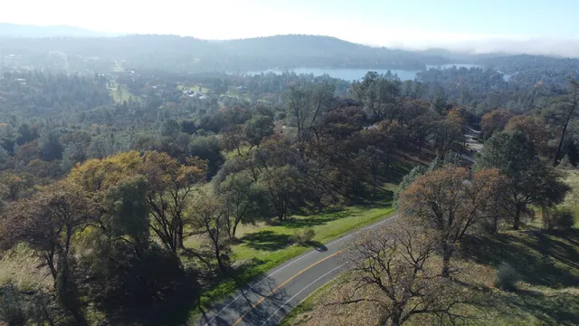 a view of a city with lush green forest