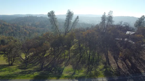 a view of a forest with a yard
