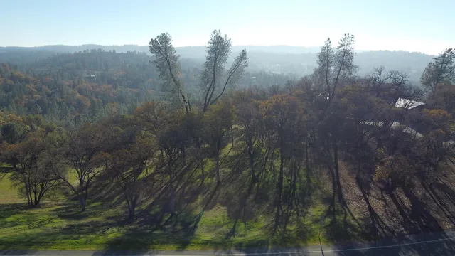 a view of a forest with a yard