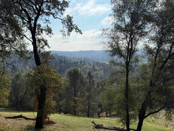 a view of a yard with mountain