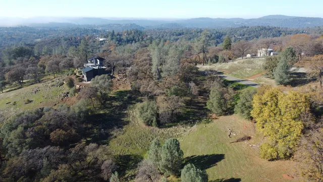 a view of a forest with a yard