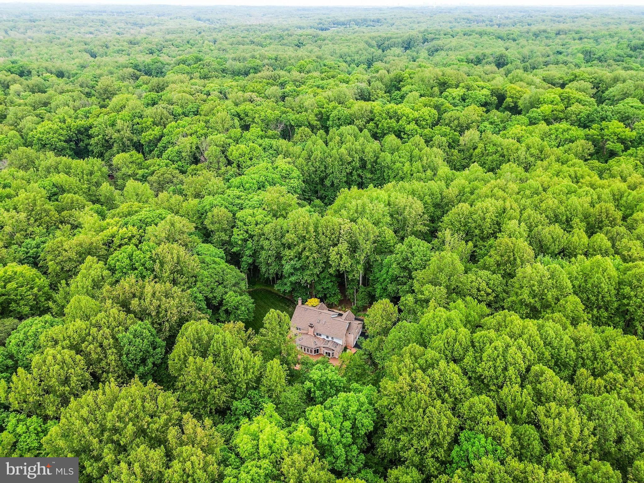 6612 Colchester Road Clifton, VA 20124 - Photo 4 of 93 5 acres of stunning wooded land surround this home
