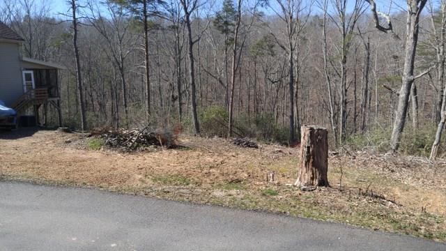 Lot 8 Hickory Ridge Dawsonville, GA 30534 - Photo 1 of 1