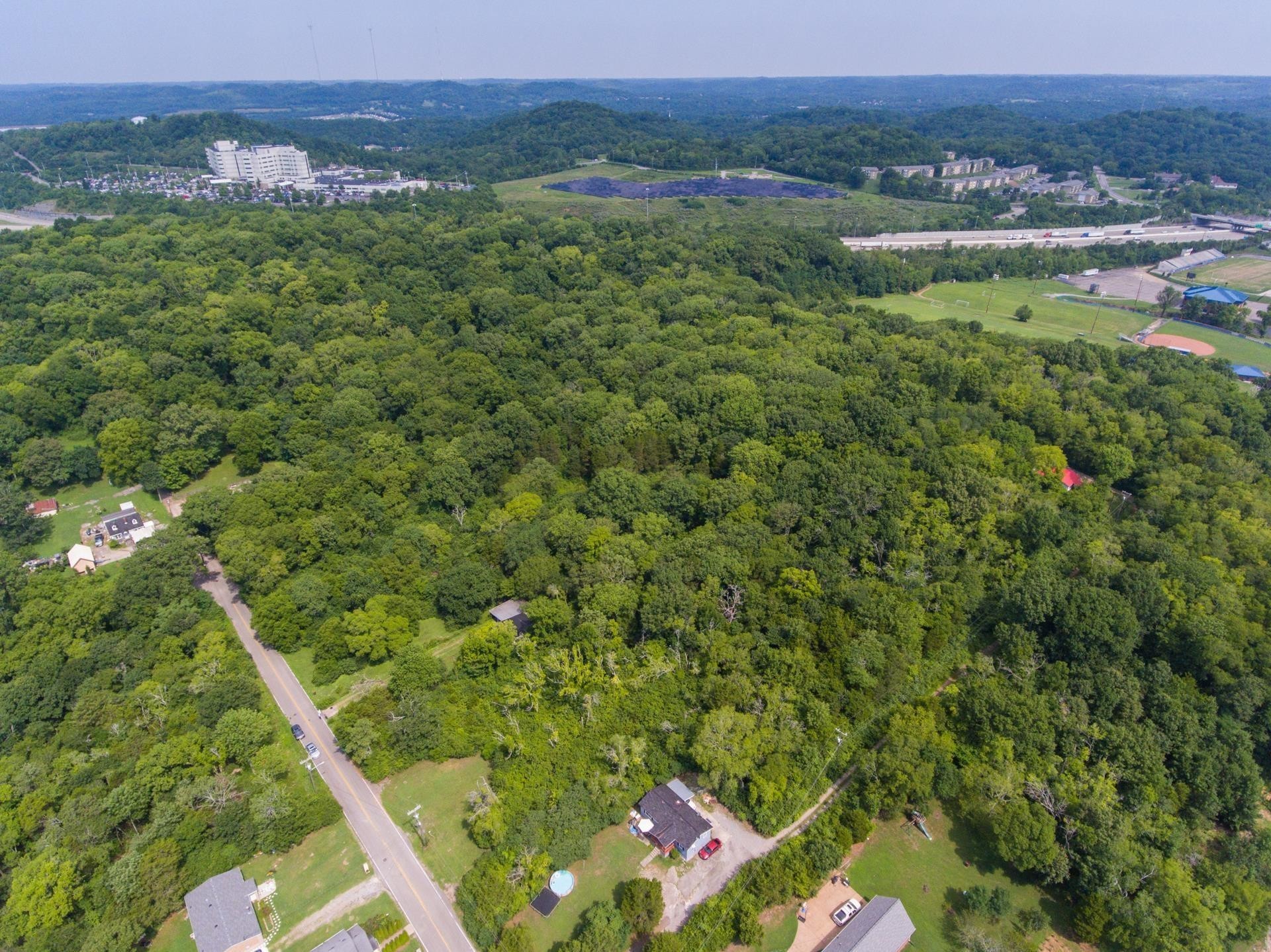 a view of a lush green forest with trees and some houses